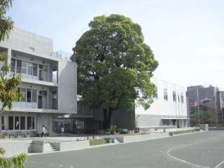 コスモ下高井戸ステーションアベニュー 小学校