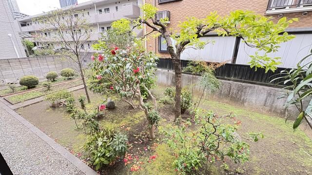 神奈川県川崎市中原区今井仲町 庭