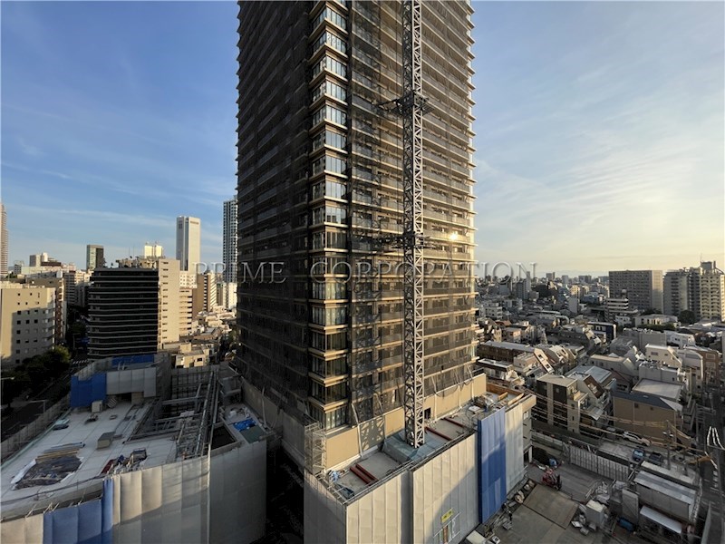 ザ・パークハウス西新宿タワー60 眺望