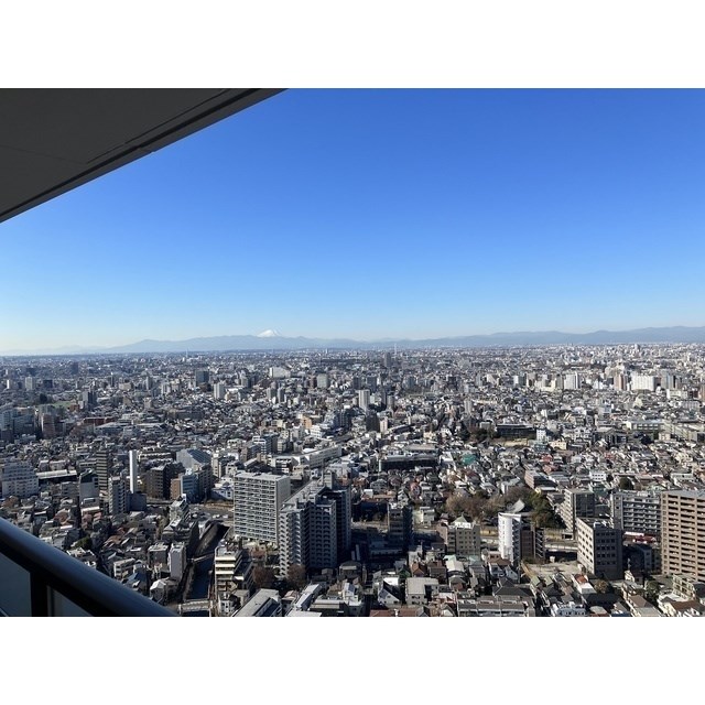 ザ・パークハウス西新宿タワー60 眺望