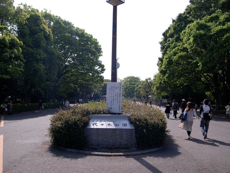 東京都渋谷区神山町 公園