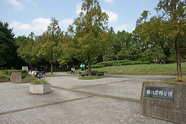 アビタシオン大島 公園