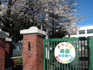 ザ・パークハウス三田ガーデン タワー棟 小学校