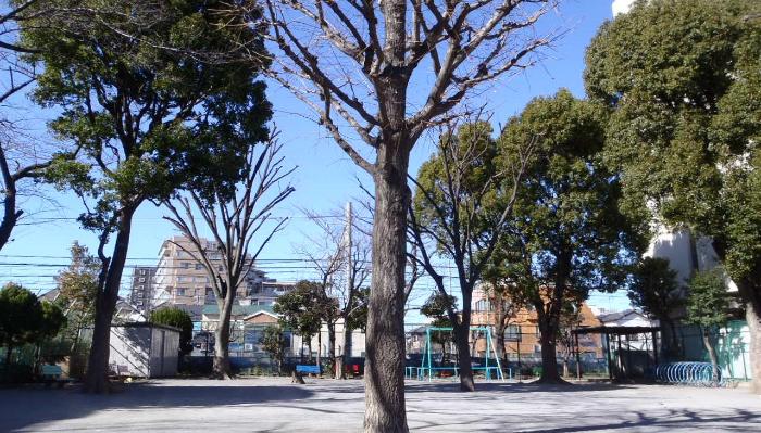 ガーデン蒲田 公園