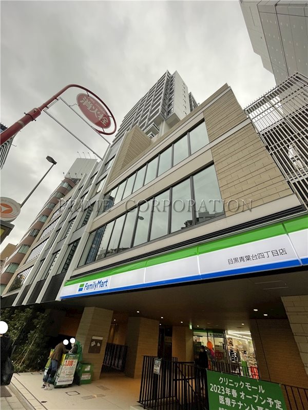 ルフォンプログレ渋谷ヒルトップ その他