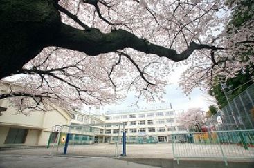 ラフィーネ阿佐谷 小学校