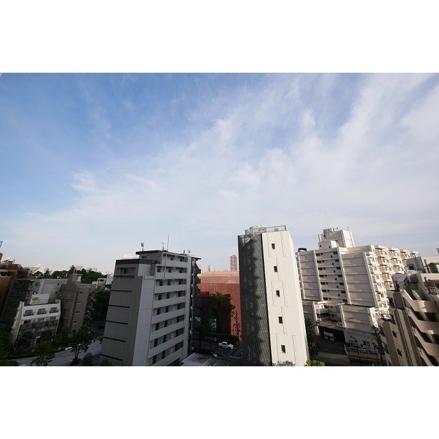 コンフォリア新宿イーストサイドタワー 眺望