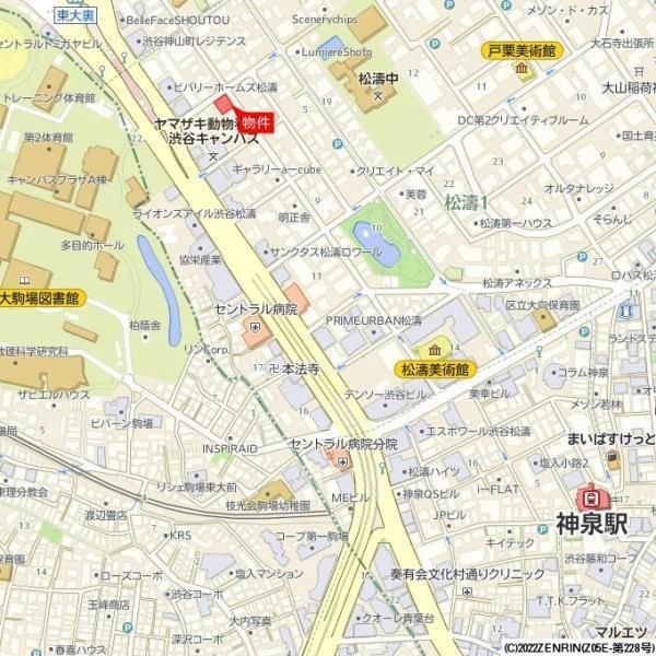 フェリーチェ松濤 地図（共通）