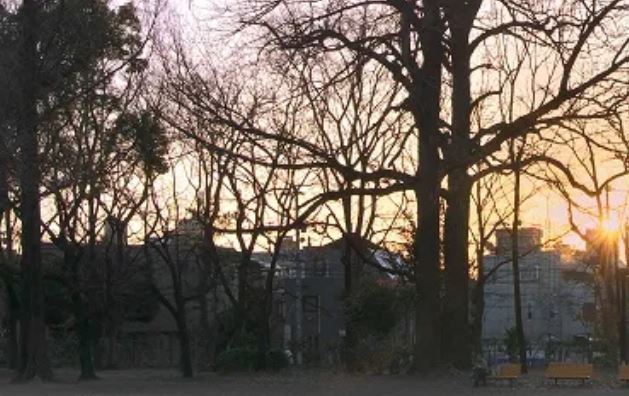 ヴァン・ヴェール武蔵小山 公園