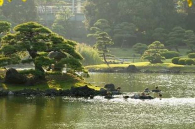 アーバネックス三田 公園
