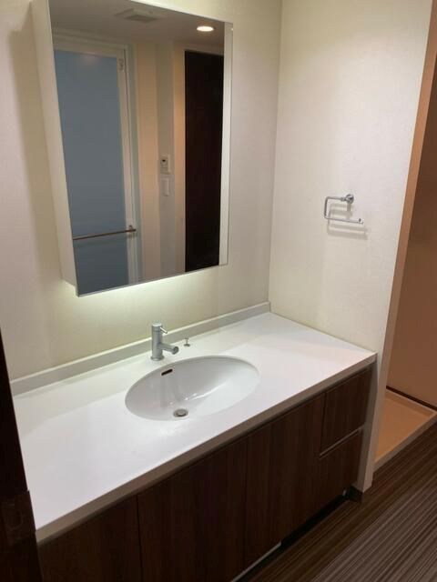 アーバンドックパークシティ豊洲タワーA棟 洗面所