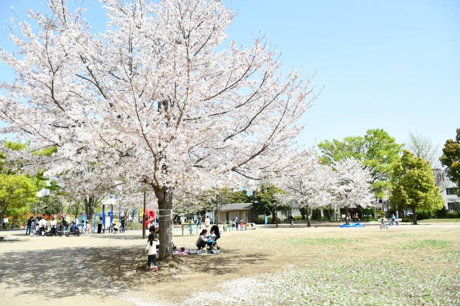 東京都豊島区巣鴨５丁目 公園