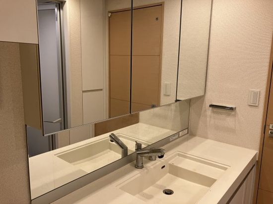 エスポワール桜新町 洗面所
