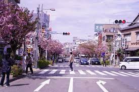 エスポワール桜新町 ショッピング施設