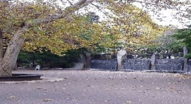 コーナーハウス 公園