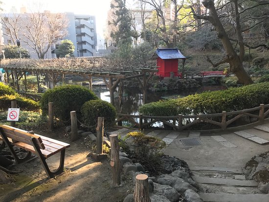 コンフォリア・リヴ文京千駄木 公園