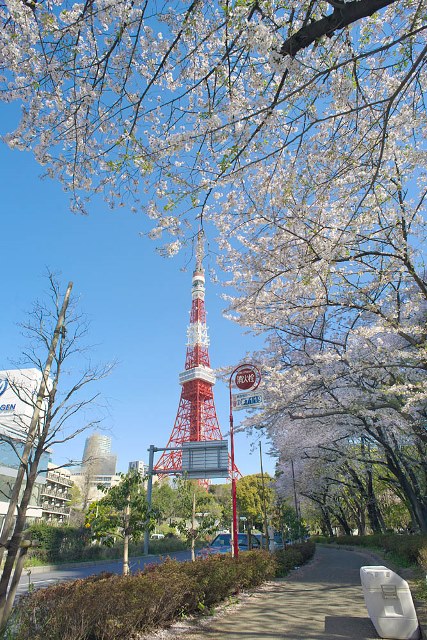 ICON PLACE SHIBAKOEN 公園