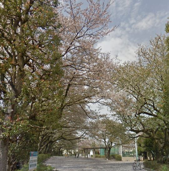 エクセルハイツ 公園
