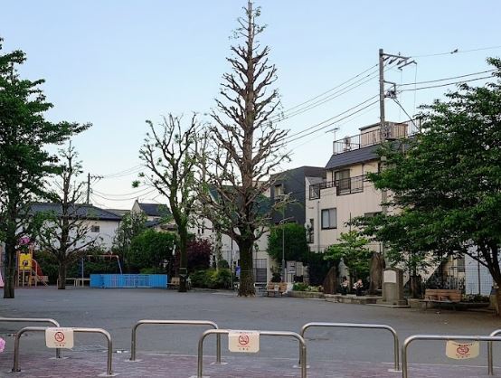 ヴェルティーク新中野 公園