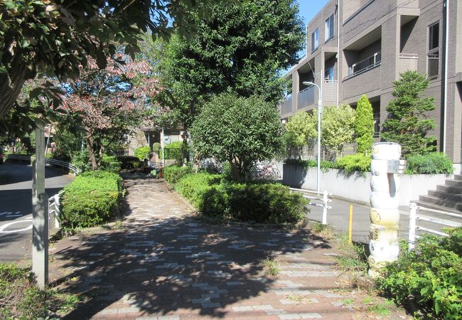アーデン駒沢パークフロント 公園