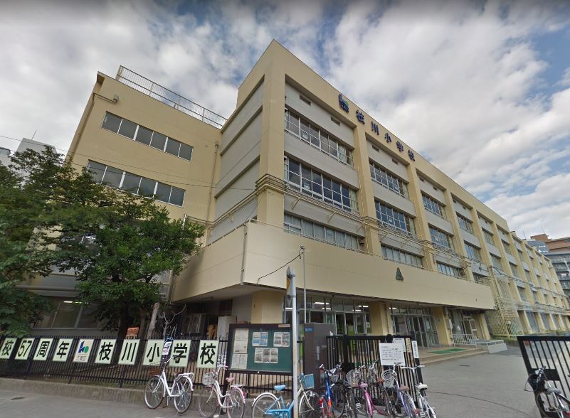 ロイジェント潮見 小学校