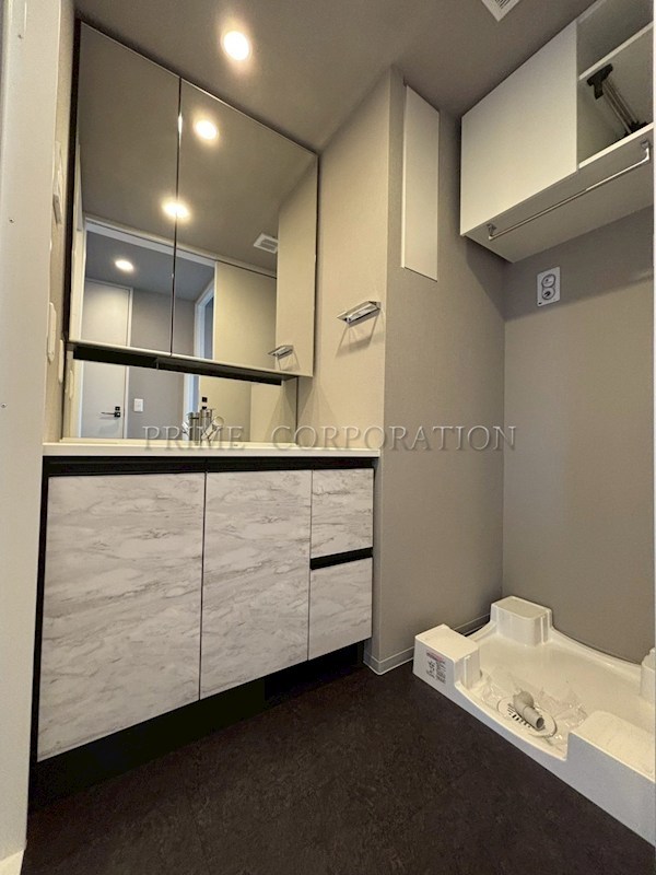ブランシエスタ新丸子リバーフロント 洗面所