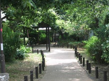 ザ・パークハビオ三軒茶屋 公園