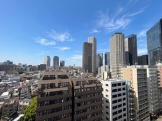 シティタワー新宿新都心 眺望