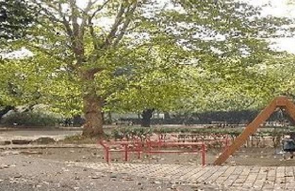 フレシール阿佐ヶ谷 公園