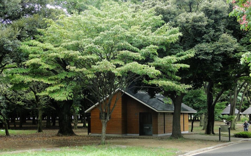パークアクシス渋谷神山町 公園