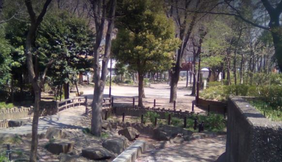 タワーズ10 公園