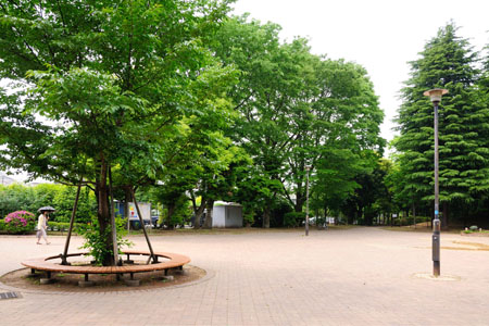 アーバン駒沢 公園
