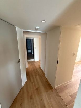一番町パークマンション 玄関