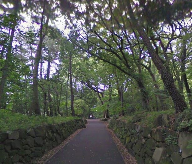 ウィングスガーデン  公園