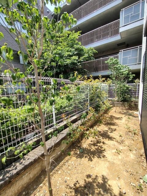 東京都世田谷区喜多見１丁目 庭