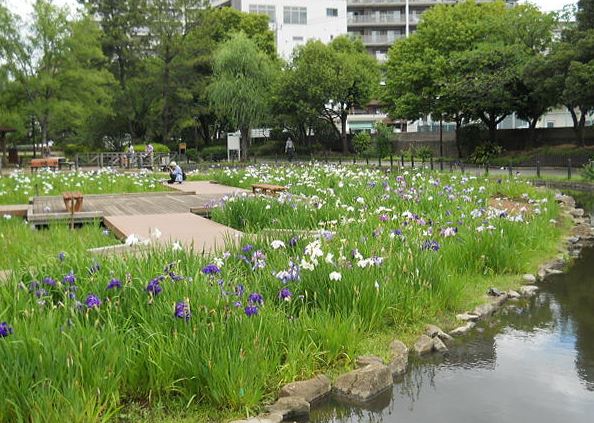 コンフォリア東陽町 公園