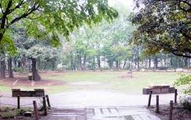 レジデンスシャルマン林試の森 公園