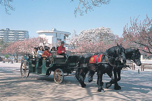 Klein Haus 公園
