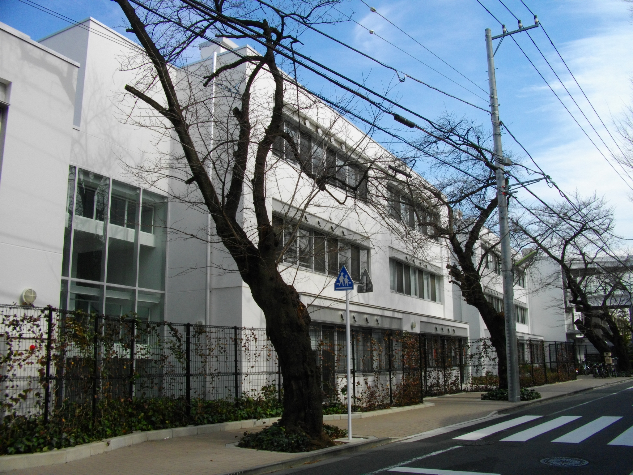 カルマーレ 小学校