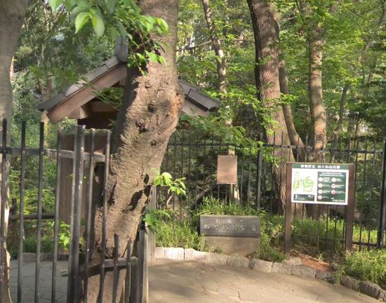 ブライズ高田馬場 公園