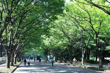 快適空間　奏 公園