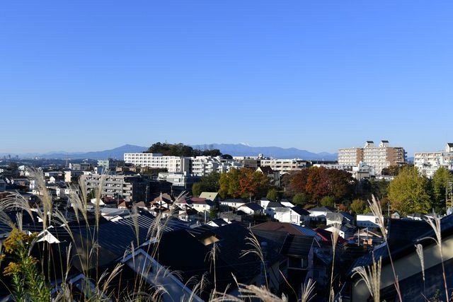 ラ・フランス百合ヶ丘 眺望