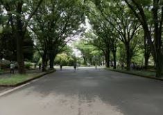 コルザ八雲 公園