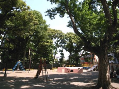 アンジュール代田 公園