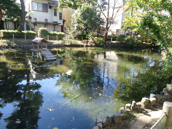クラッサ成城 公園