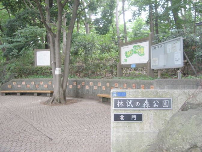 アジュール目黒本町 公園