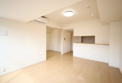 エスティメゾン四谷坂町 リビング