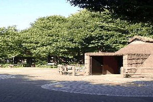 グリシーヌ高井戸 公園
