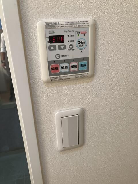 エオラス白金 その他