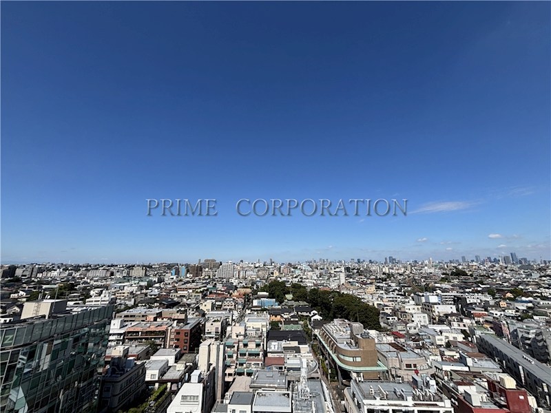 JIYUGAOKA MUSE SQUARE THE RESIDENCE 眺望